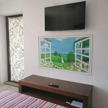 홈스테이 Kogaion Place
