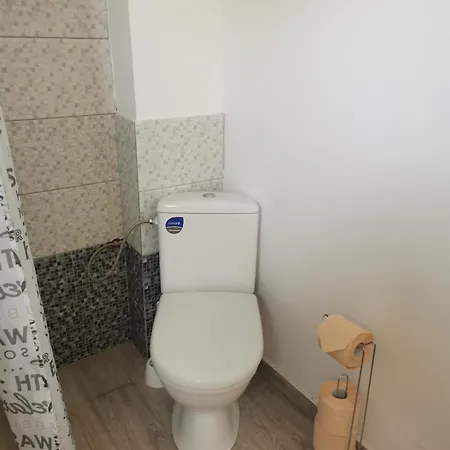 홈스테이 Kogaion Place Douăzeci şi Trei August