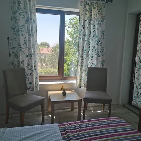 홈스테이 Kogaion Place Douăzeci şi Trei August