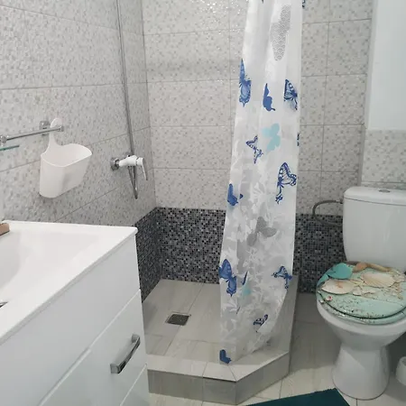 홈스테이 Kogaion Place